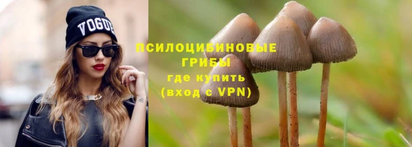 ГАЛЛЮЦИНОГЕННЫЕ ГРИБЫ Алексеевка