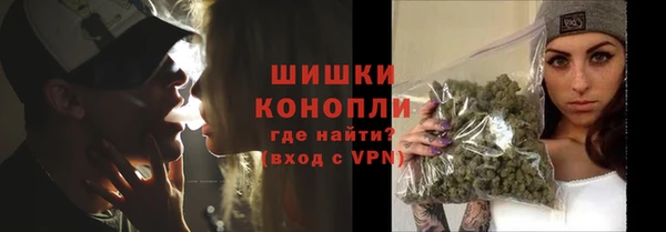 ГАЛЛЮЦИНОГЕННЫЕ ГРИБЫ Алексеевка
