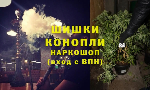 ГАЛЛЮЦИНОГЕННЫЕ ГРИБЫ Алексеевка