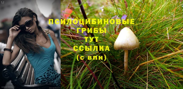 2c-b Алзамай