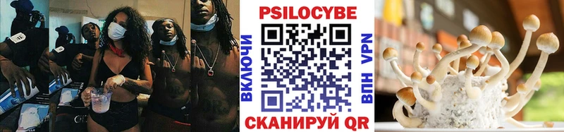 хочу наркоту  Новокубанск  Галлюциногенные грибы мухоморы 